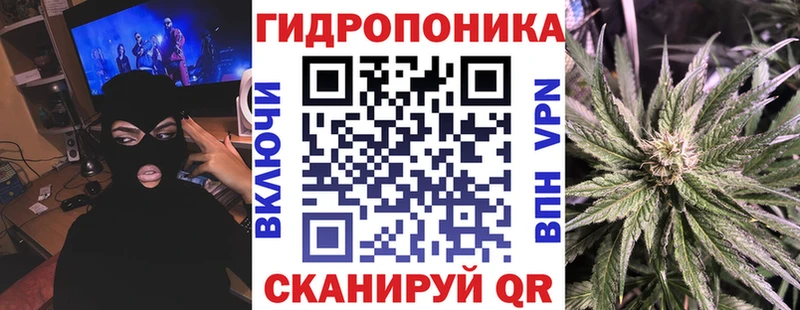 MEGA   как найти   Приволжск  Конопля SATIVA & INDICA 
